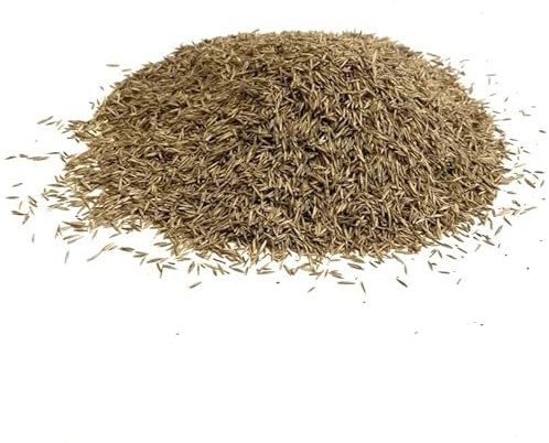 Shady Area Lawn 2kg Seed Grass Shade (Covers 40 Square metres)