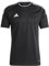 adidas Herren Campeon 23 JSY Jersey (Short Sleeve), Schwarz, L