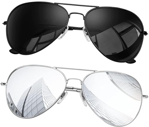 KANASTAL Lunettes de Soleil pour Homme et Femme Polarisées Lunette de Soleil UV400 Alliage Al-Mg Premium Rétro Double Pont Noir et Argenté