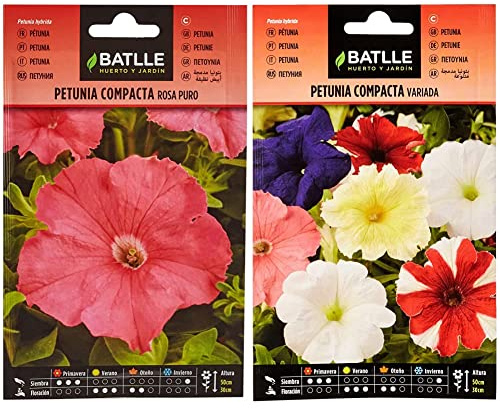 Semillas Batlle Petunia Compacta ROSA PURO & Petunia Compacta VARIADA, Multicolor