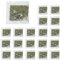 20 Packungen Premium Katzenminze, Natürliche Catnip Katzengras, Schonend Getrocknete Katzenminze, Katzenminze Getrocknet, Verwendet Als Snack Für Füllung Katzenspielzeug, 40g