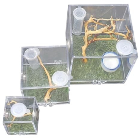Abaodam 3 cajas de acrílico para arañas saltarinas, hábitat resistente para insectos con puerto de alimentación para reptiles e insectos, incluye