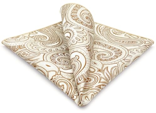 S&W SHLAX&WING Fazzoletto da Taschino Uomo Paisley Argento e Cachi Nuovo Arrivo
