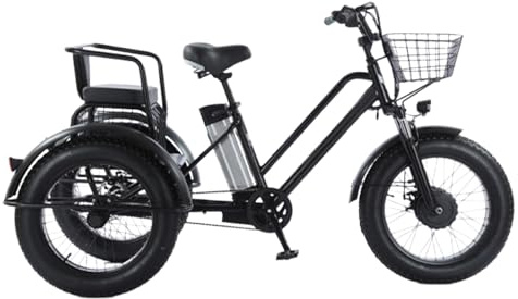 PRECISTECH Triciclo Eléctrico para Paseos Y Ciudad, 3 Ruedas, Motor 250w, Neumático Ancho 20, Batería 48v, Asiento Reforzado, Estable Todo Terreno