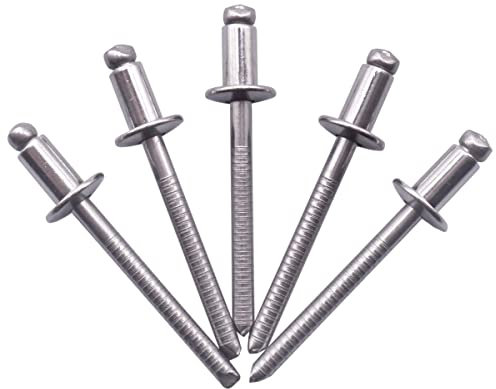 SKIR'CO (40 piezas) Remaches ciegos de acero inoxidable 4,8 x 8 mm, cabeza de cúpula, remaches pop, DIN 7337, remache A2, mandril ranurado