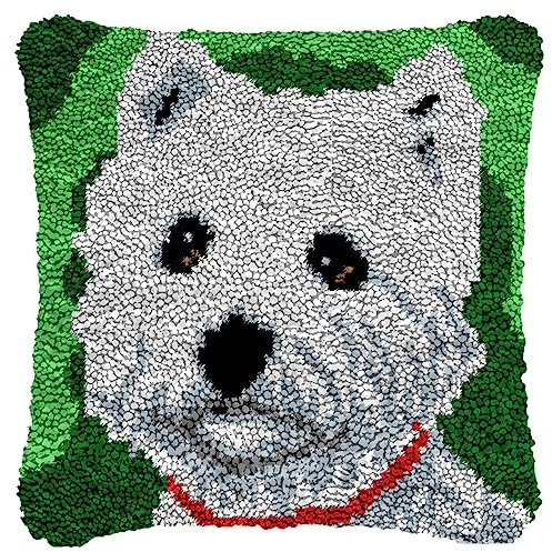 Juego de almohadas de anudación para hacer tú mismo, juego de ganchos, funda de almohada, juego de tapetes de nudos, juego de cojines, kit de ganchos hechos a mano, regalos para niños y adultos, 43 x