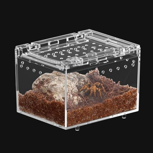 Jortmrd Terrario Caracoles Terrario Insectos Caja de Alimentación para Reptiles Caja de Alimentación de Insectos Mini Caja de Terrario Reptiles para Araña, Escorpión