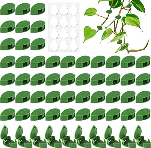 Jubaopen 60 Stück Pflanzenhalter Wand, Pflanzenclips für Kletterpflanzen Befestigung Rankhilfehalter unsichtbare Pflanzenwand Kletterpflanzen Halterung