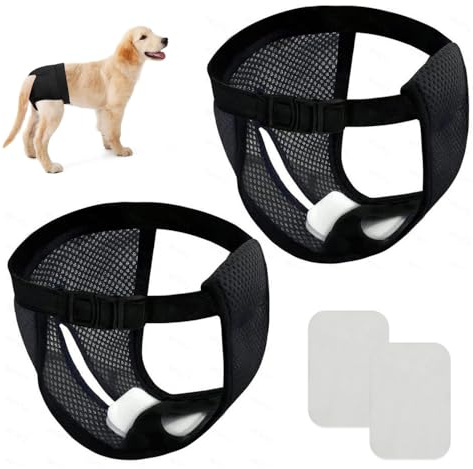 GIDWRIY Lot De 2 Culottes pour Chiennes en Chaleur, Couche Lavable Chien