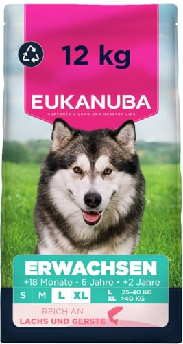 Eukanuba, alimento seco para Perros con Salmón y Cebada para Razas Grandes- Alimento seco Premium para Perro Adultos, 12 kg
