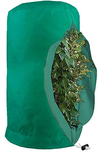 Voile D'hivernage Plante, Voile Hivernage, Voile Dhivernage Arbre, Protection Tomate Citronnier, Housse Hivernage pour Sac Vegetaux Jardin Tissu Non Tissé