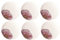 Villeroy & Boch Rose Garden Speiseteller Coupe 6er Set D.29cm