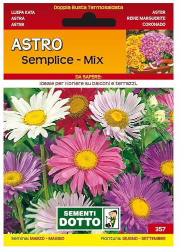 Sicignano | Semi Astro Semplice in Miscuglio Mix, Pianta Annuale con Fiori a Margherita, Steli Lunghi e Robusti, Busta Extra - 1 Confezione da 2g, Pianta da Potatura, Adatta a Pieno Sole