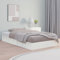 QJBSAVVA Massivholzbett, Schlafbett Doppelbett/Einzelbett Familienbett Daybed Geeignet für Arbeitszimmer Herbergen Büro Hotelzimmer Weiß 100x200 cm