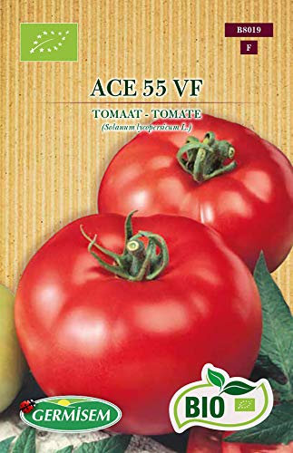 Germisem Biologico ACE 55 VF Semi di Pomodoro 0.5 g