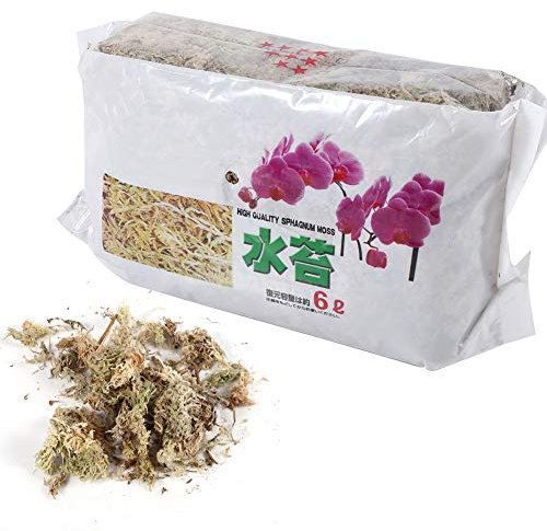 Kuuleyn Mousse de sphaigne à Fibres Longues ， 6L de Mousse de sphaigne de Jardin hydratant Nutrition Engrais Organique pour orchidée Phalaenopsis