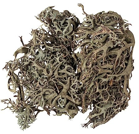 Rayher Flechten Moos, Graumoos, Btl. 20 g, grau-grüne Farbe, getrocknetes und präpariertes Naturmoos, 85492000