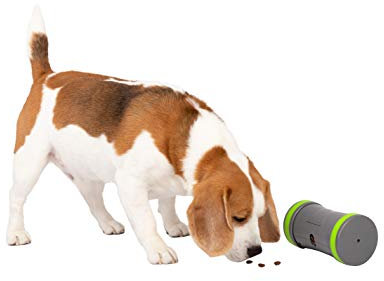 PetSafe Kibble Chase Selbstbewegendes Belohnungsspielzeug, Rollender Snackspender für Hunde, 3 AA-Batterien nötig, 1 Stück (1er Pack)