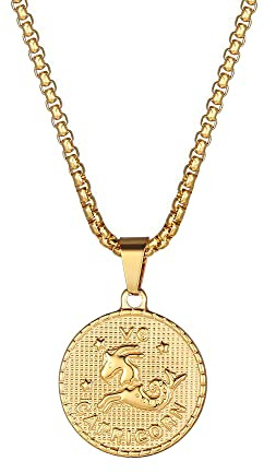 PAMTIER Uomo Acciaio Inossidabile Rotondo Coin Constellation Collana Segni Zodiacali Ciondolo Oroscopo con Catena Oro Capricorno