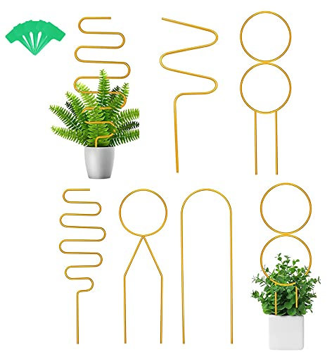 5 Pezzi per Piante rampicanti da Interno, griglia in Metallo per Piante rampicanti, Supporto Piante,Supporto per Piante in Vaso, Un Grande Regalo per Gli Amanti del Giardino