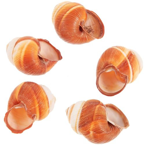 FRCOLOR 5st Äkta Snigelskal För Escargot Tjocka Värmeisolerande Snigelskal För Bakning Perfekta För Hem Och Restaurangbruk