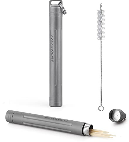 TISUR Titanium Portable Toothpick Holder Box, Pocket Waterproof Case Toothpicks Container with Keychain for Outdoor Picnic and Camping (1, Grey)