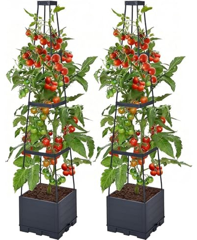 Tomato Planter Boxes with Trellis 2pcs Self-Watering Planter Box Self Watering Raised Garden Bed Tall Square Planters for Indoor Outdoor Climbing Vegetables Plants Patio Flowers Vegetable (2PCS)