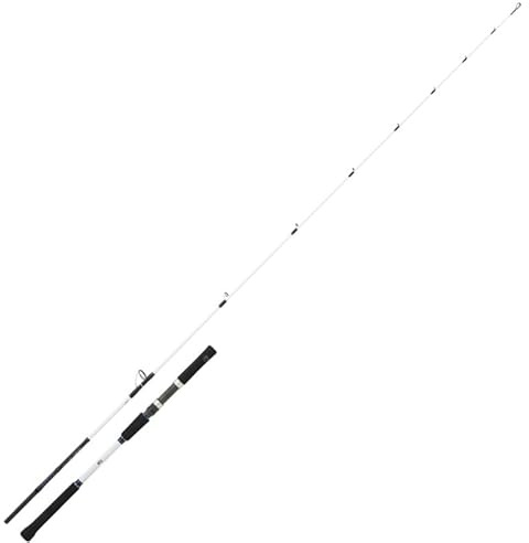 Daiwa Saltist Off Shore 2.06m