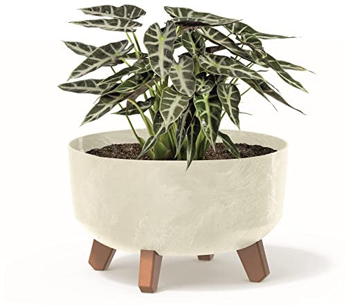 botle Bonsai Schale Baum Mini Garten Blumentopf an den Füßen Pflanzkübel D 28,5 cm Cremig Kunststoff Töpfe mit Einsatz Beton Optik Übertöpfe