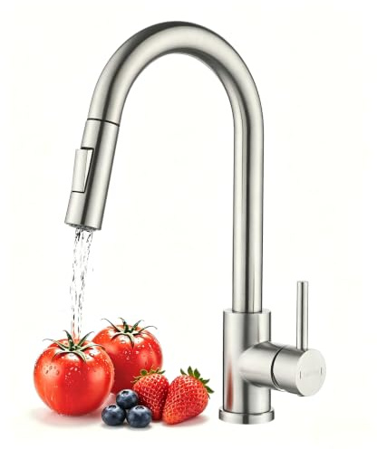 Süßren Kitchen Tap,Kitchen Mixer Tap with Pull Out Sprayer,2 Modes Spray,360° Swivel Single Handle High-Arc Design,Stainless Steel Sink Faucet (Brushed)