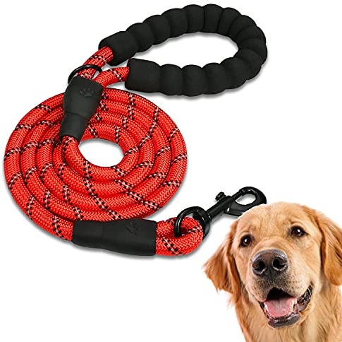 EDIPETS, Laisse Chien, Laisse de Dressage pour Chien, Rembourrée, Poignée Souple, Corde pour Chiots et Petits, Moyens et Grands Chiens, 1,2 et 1,5 mètres. (1.2 M, Rouge)