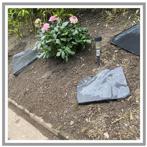 Schieferplatten 20kg 15cm bis 25cm Schiefer Steinplatten für Garten Naturstein Bruchsteinplatten Gartendeko Gehwegplatten Trittplatten Steinplatte Bruchplatten trittsteine Rasenkantensteine