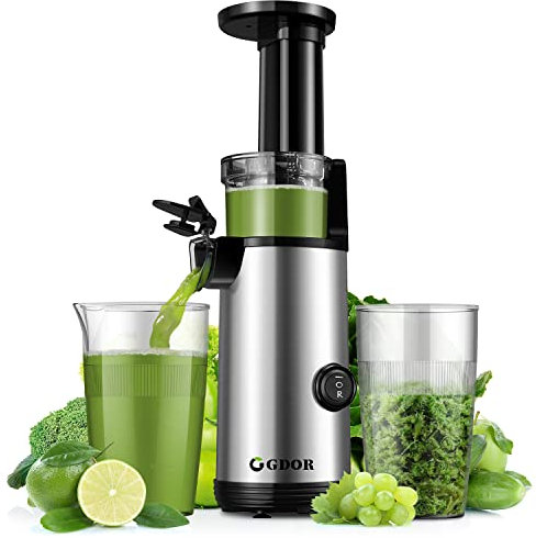 GDOR Licuadora Prensado En Frio Potente Juicer Juicer Machine Fácil de Limpiar Extractor de Jugo Compacto con Alto Rendimiento de Jugo, Vaso de Jugo de 600 ml, Cepillo Incluido, Sin BPA, Plateado