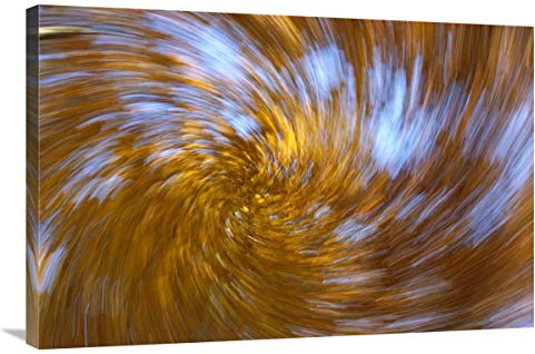 24 x 36 in. European Beech Abstract of Autumn Colors, Germany Art Print - Konrad Wothe