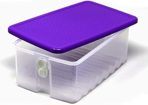SIGNORA WARE Klimat oasbehållare livsmedelsförvaring kylskåpslåda frukt grönsaker Prima klimat transparent lila 1,0 liter