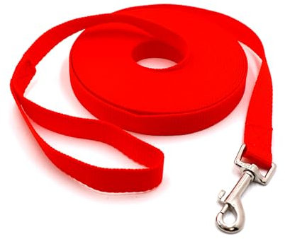 Schleppleine 10m für Hunde, Wasserdicht Hundeleine mit Handschlaufe und 360° Karabiner, Robuste Ausbildungsleine Schleppleine für Mittlere Große Kleine Hunde (Rot)