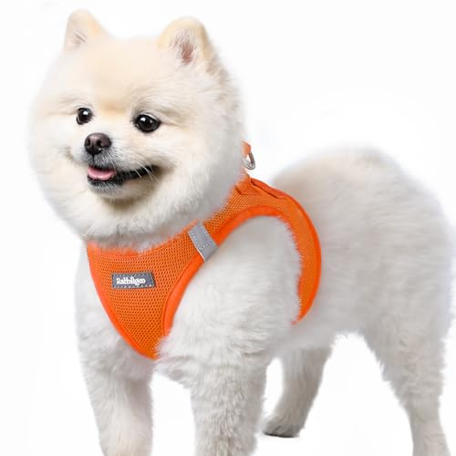 rabbitgoo Harnais Chien Petite Taille Orange S, Harnais Chiot Respirante en Maille Souple, Arnet pour Chien Réfléchissant Facile à Mettre, Gilet Réglable pour Petits et Moyens Chiens pour Marche