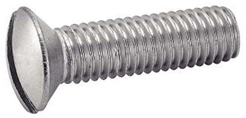 100X Linsensenkschrauben m. Schlitz Edelstahl A2 6x50 M6 DIN964