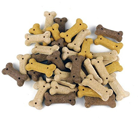 Biozoo Snacks Educativos, Galletas Huesitos Premio para Perros, sabor Vainilla - 2 Bolsas de 500 gr. (Total 1000gr.)