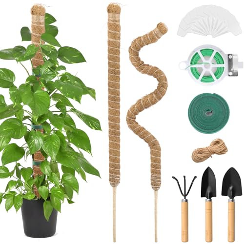 Cisivis Monstera Rankhilfe, 2 Stück 120cm Moosstäb Pflanzenstab, Biegsame Monstera Stab Pflanzstab, Natürlicher Pflanzenstütze für Kletterpflanzen mit Zubehör