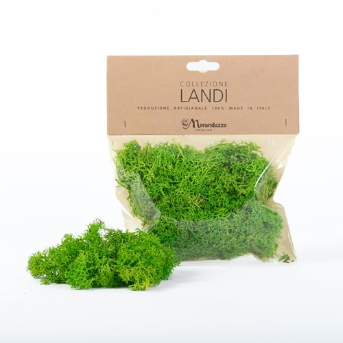 Moranduzzo – Busta Lichene Verde Naturale 50g – Artigianato Made in Italy – Accessori e Materiali per Realizzare un Presepe Tradizionale Fai da Te