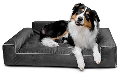 Bjird Hundebett - Hundekorb für kleine mittelgroße & große Hunde - Hundekissen - Hundesofa - Bezug abnehmbar und waschbar - Glamour New - Größe: L: 98 x 66 cm - Schwarz Fancy