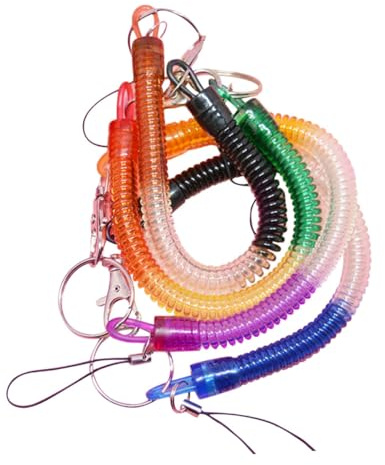 DECORNIJIA Lot de 4 Cordons Spiralés à Ressort en Plastique avec Clip, Antiperte, Extensibles et Colorés, Porte-clés Pratiques pour Usage Quotidien Couleur Aléatoire