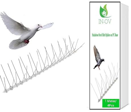 IN-OV -KIT de Dissuasion pour Oiseaux, Pics Anti - Pigeons en Acier Inoxydable pour Balcon, Anti - Corbeaux, Respectueux des Animaux - 1 Metre (4X25CM)