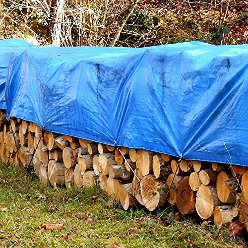 BONERVA | Toldo Polietileno Impermeable | Lona Reforzada con Ojales para jardín, Piscina, Camiones, leña... | Color Azul | Medida 2x3 Metros | Peso: 85 g/m2