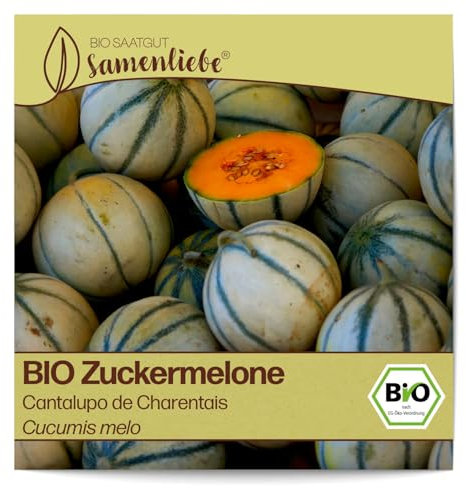 Samenliebe BIO Zuckermelonen Samen Cantalupo de Charentais süße Honigmelone runde Melone orange 10 Samen samenfestes Gemüse Saatgut für Gewächshaus Freiland und Balkon BIO Gemüsesamen