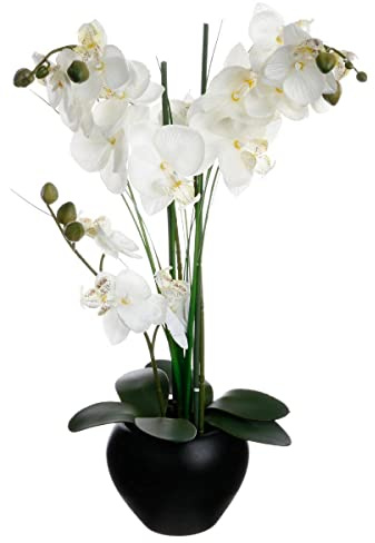 Atmosphera - Orquídea Artificial - jarrón de cerámica Negro - H53 cm