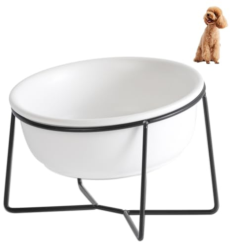 Gamelle Chien Chat - Surelevee et Inclinée avec Support - Gamelle pour Chien Moyen | Gros Chat - Bol en Ceramique pour Eau et Nourriture - 530ml