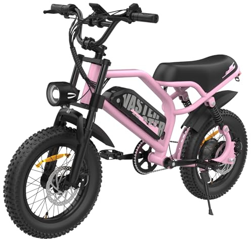 VDL Bici Elettrica per Adolescenti 16 x 3.0 Pollici Fat Tire, E-Bike da 36V 13Ah Batteria Rimovibile, Città Pendolare Ebike con Display LCD, Freni a Disco Meccanici Anteriori e Posteriori, Rosa
