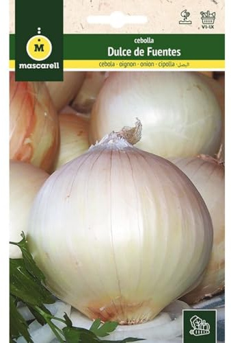 Mascarell Semillas, CEBOLLA, Semillas Huerto, CEBOLLA DULCE DE FUENTES, Crea tu Propio Huerto Urbano y Cultivo en Casa, Plantas Hortícolas, 3 Gramos